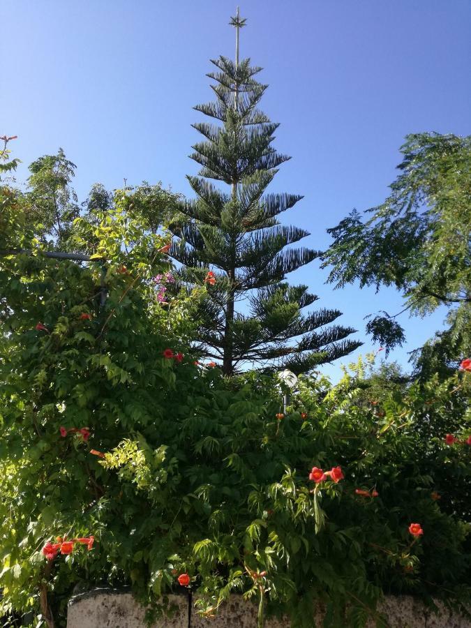 Bed & Breakfast La Lanterna Delle Fate Otranto